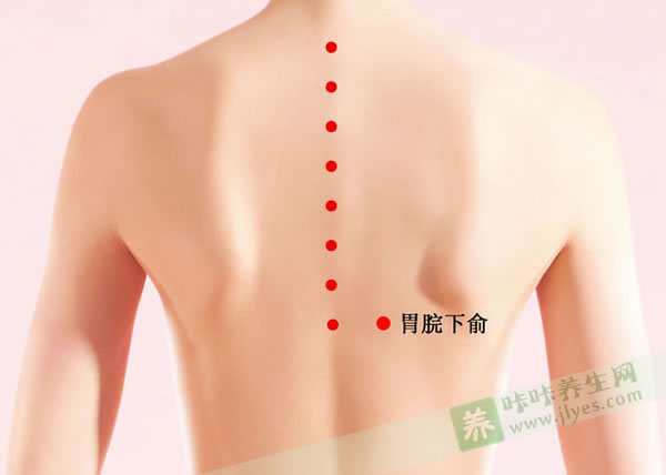 胃脘下俞穴位位置图