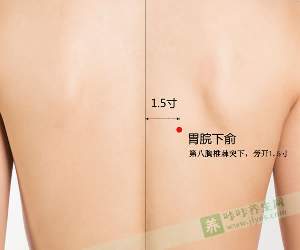 胃脘下俞穴的功效与作用