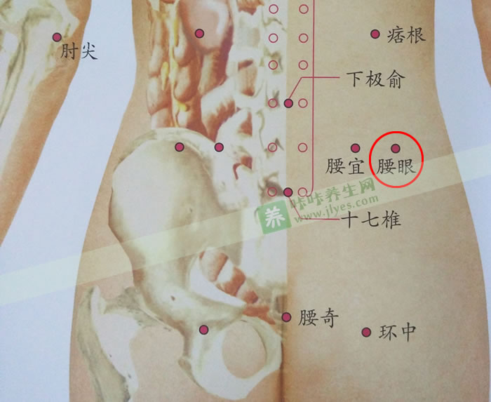 腰眼穴位准确位置图