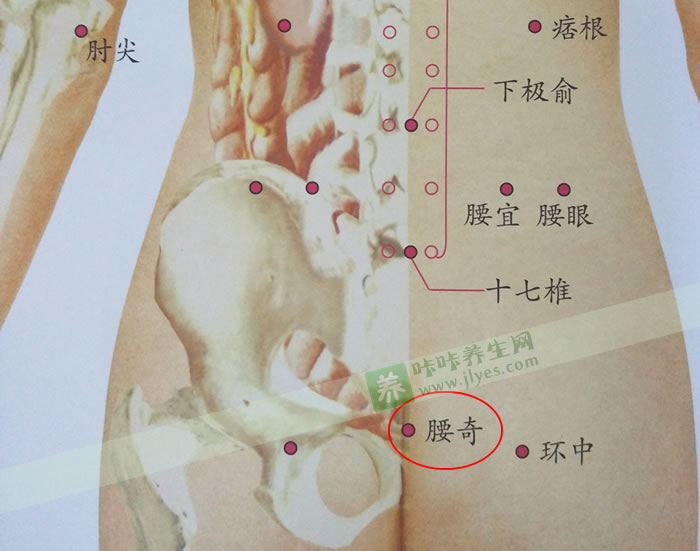 腰奇穴位准确位置图