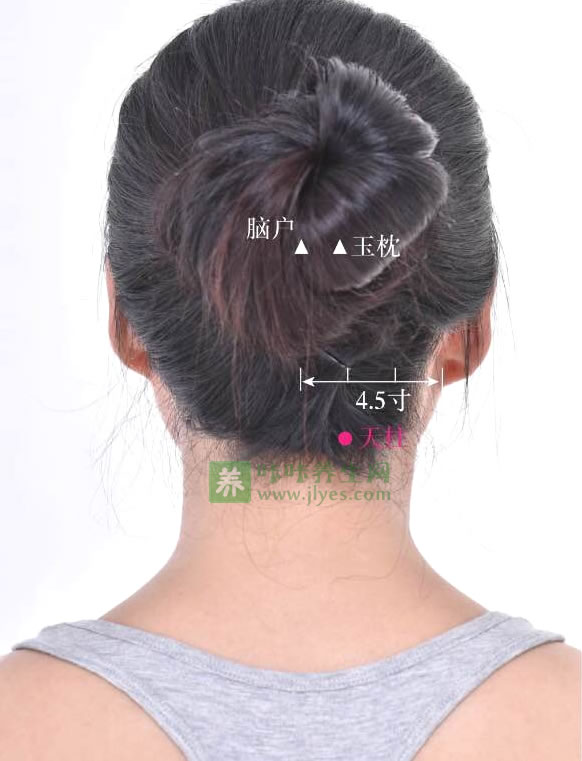 天柱穴位位置图