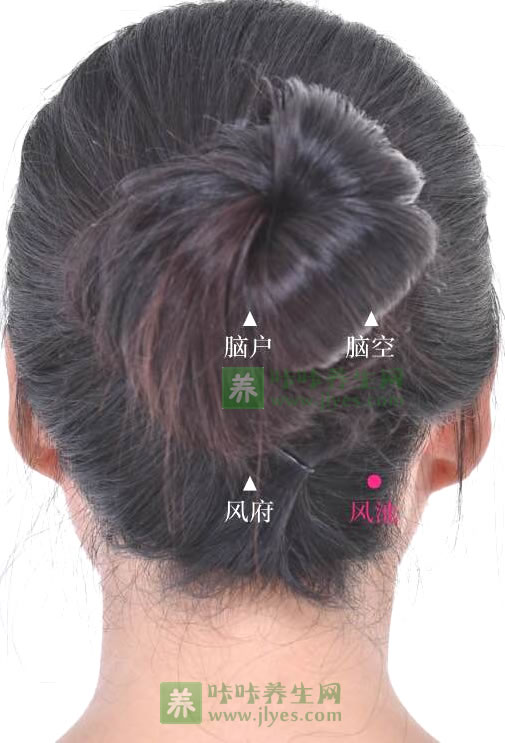 风池穴位位置图