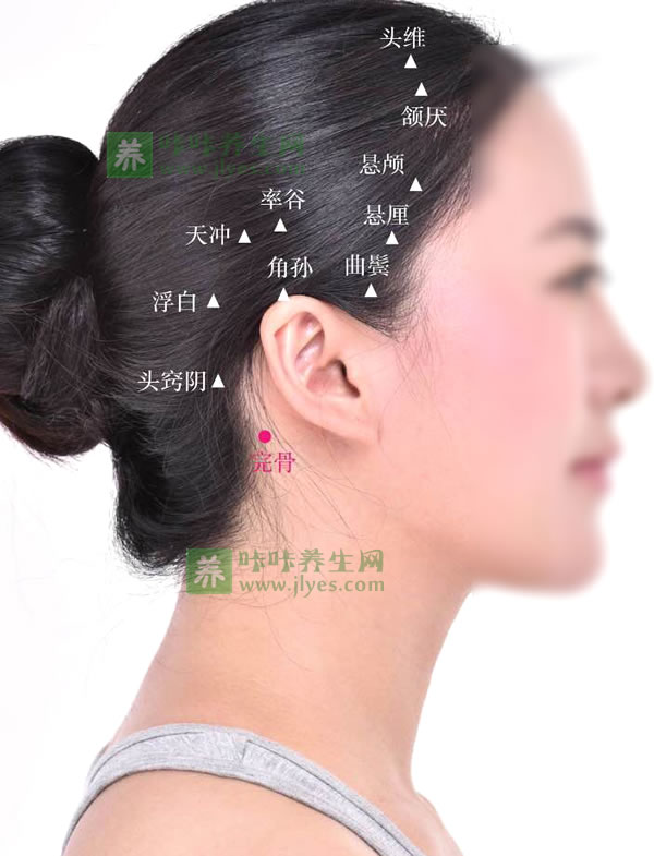 完骨穴位位置图