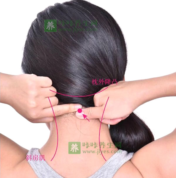 风府穴位位置图