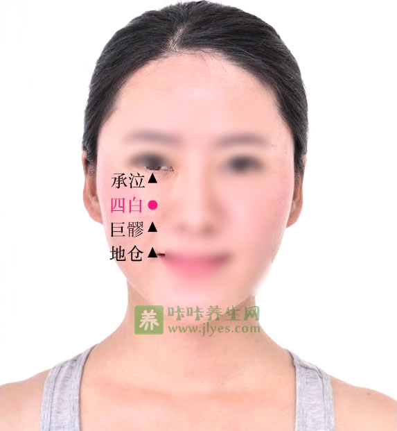 四白穴位位置图