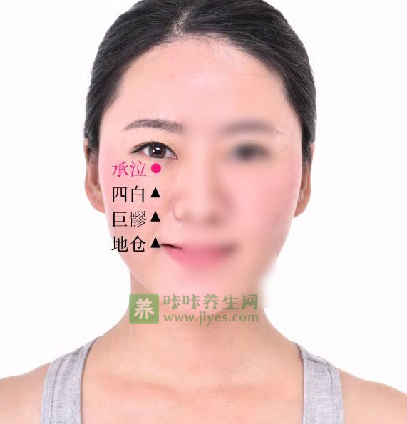 承泣穴位位置图