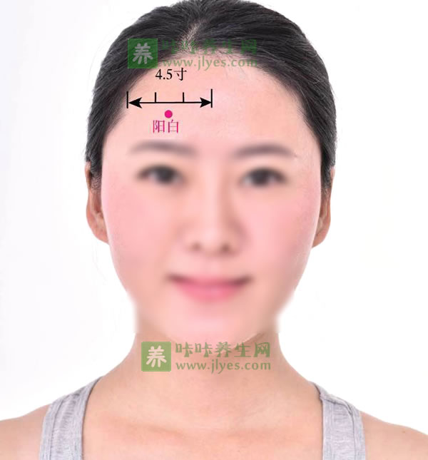 阳白穴位位置图