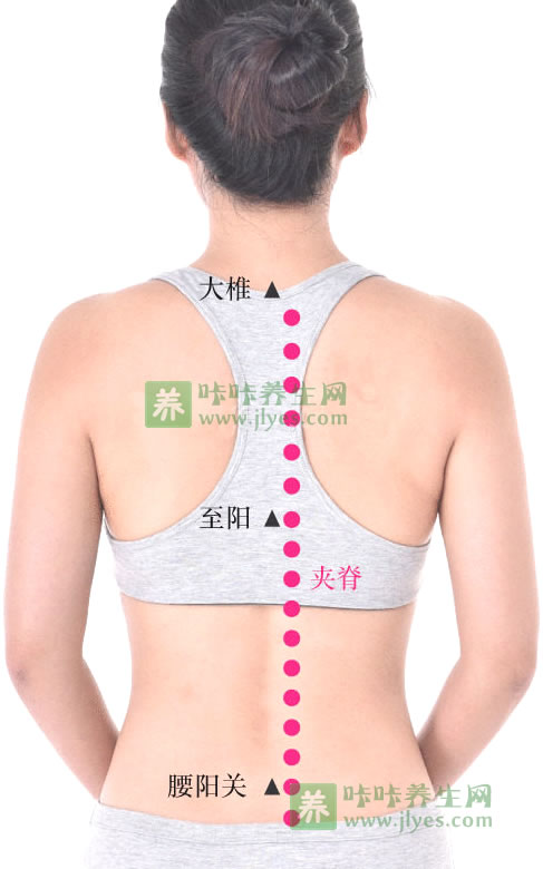 夹脊穴刺灸方法图