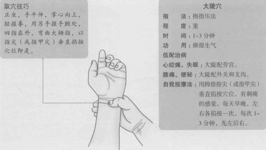 大陵的准确位置图