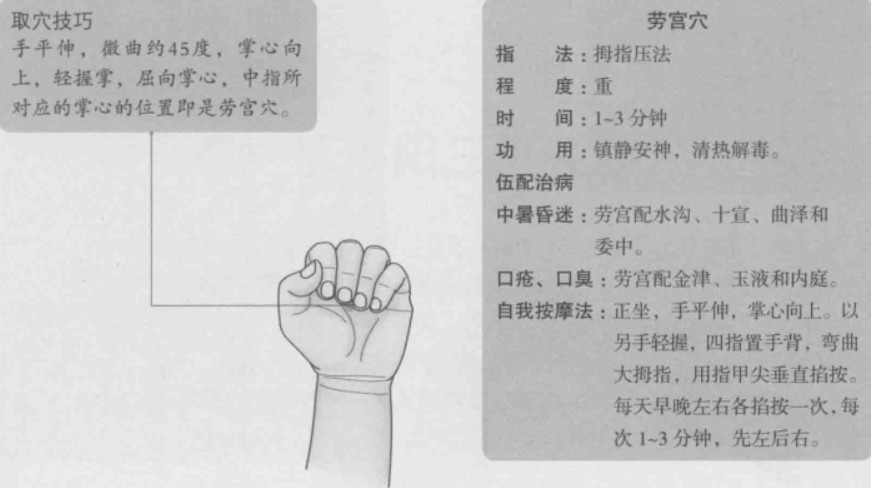 劳宫的准确位置图