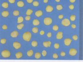 硫黄的功效与作用及禁忌,中药硫黄图片