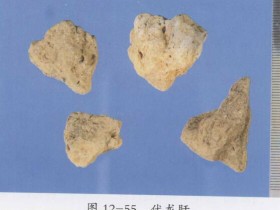 伏龙肝的功效与作用,中药伏龙肝图片