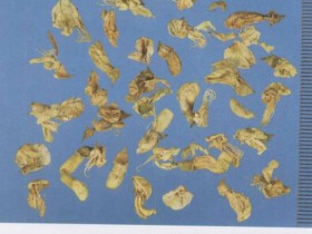 槐花的功效与作用,中药槐花图片