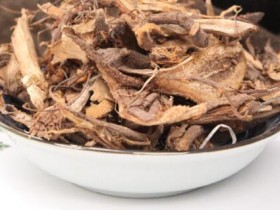 苎麻根功效与作用,中药苎麻根图片