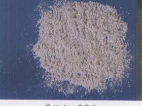 花蕊石的功效与作用,中药花蕊石图片