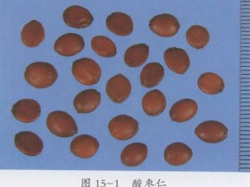 酸枣仁汤组成,方歌方解,医案分析,功效与作用