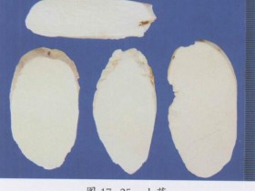 肾气丸组成,方歌方解,医案分析,功效与作用