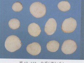 小建中汤组成,方歌方解,医案分析,功效与作用