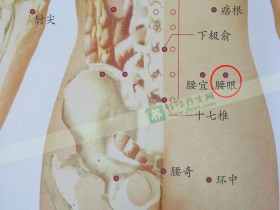腰眼穴位位置图,按摩腰眼穴的功效与作用