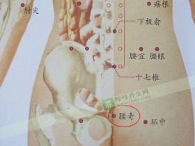 腰奇穴位准确位置图,按摩腰奇穴的作用与功效