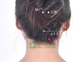 天柱穴的准确位置图,艾灸按摩天柱穴的作用及功效