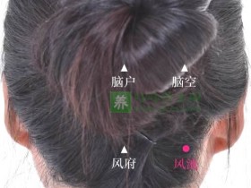 风池穴的准确位置图,艾灸按摩风池穴的作用及功效