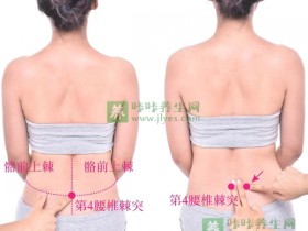 大肠俞穴的准确位置图,大肠俞穴的作用与功效