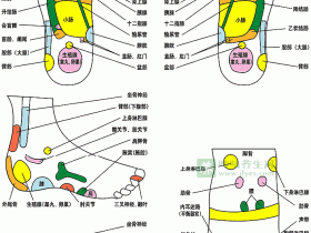 人体足部反射区高清图解,足部按摩方法