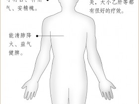 青芝的功效与作用