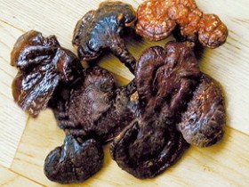 赤芝的功效和作用,中药赤芝图片