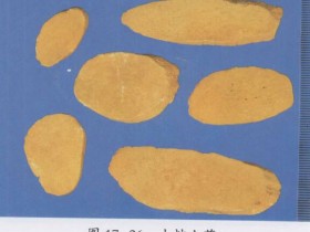 薯蓣的功效与作用