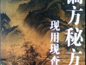 《偏方秘方现用现查》
