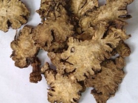 过敏性鼻炎的病因病机，治疗过敏性鼻炎的偏方