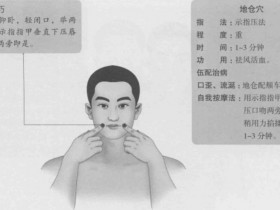 地仓的准确位置图,地仓穴的功效与作用