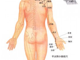 人体穴位经络大图