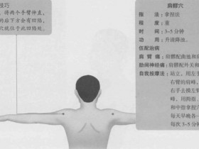 肩髎的准确位置图,肩髎穴的功效与作用