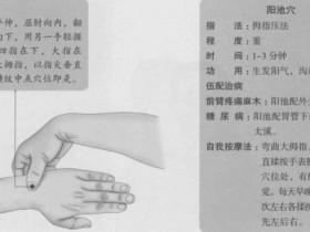 阳池的准确位置图,阳池穴的功效与作用
