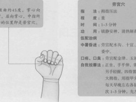 劳宫的准确位置图,劳宫穴的功效与作用