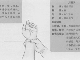 大陵的准确位置图,大陵穴的功效与作用