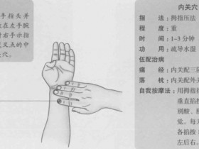 内关的准确位置图,内关穴的功效与作用