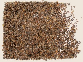 茺蔚子的功效与作用