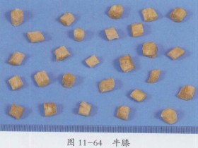 牛膝的功效与作用