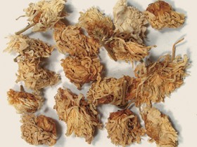 菊花的功效与作用