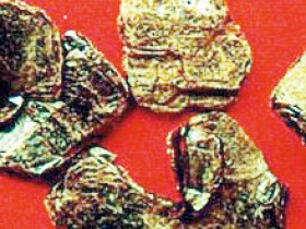 赤石脂的功效与作用,中药五色石脂图片