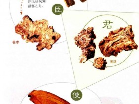 九味羌活汤组成，方歌方解，配伍特点，临床应用