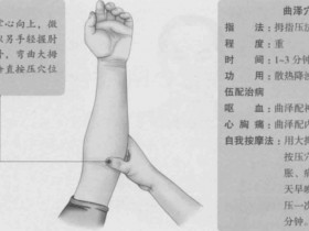 曲泽的准确位置图,曲泽穴的功效与作用