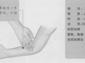 下廉的准确位置图,下廉穴的功效与作用