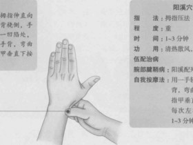 阳溪的准确位置图,阳溪穴的功效与作用