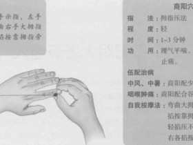 商阳的准确位置图,商阳穴的功效与作用