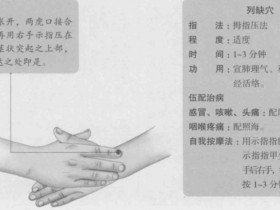 列缺的准确位置图,列缺穴的功效与作用